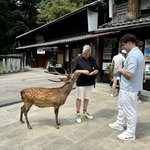 Photo taken by Nicoline v