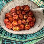 Photo taken by Vicki Lynn M