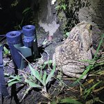 Photo taken by Dawne D