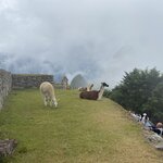 Photo taken by Terje R