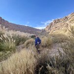 Photo taken by lynn o