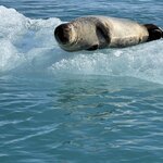 Photo taken by Dawn S