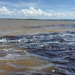 Photo taken by Sathees R