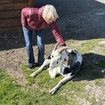 Photo taken by fred y