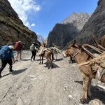 Photo taken by Willow K