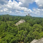 Photo taken by Camille S