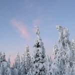 Photo taken by Ellyn V