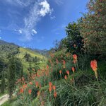 Photo taken by Thomas B