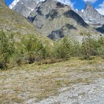 Photo taken by Irwin M