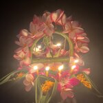 Photo taken by hazel S