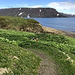 hornstrandir nature reserve | Photo taken by Matt M