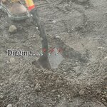 Photo taken by joyce h