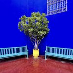 Photo taken by KHEE BOON L