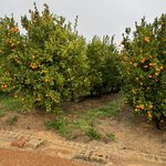 Photo taken by Ingenie D