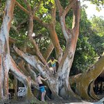 Photo taken by Nicole G