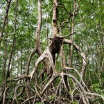 Photo taken by Tenley G