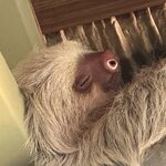 Photo taken by Bonnie Y