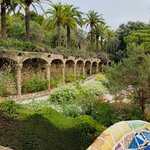 Photo taken by Carole D