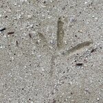 Photo taken by Thomas L