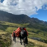 Photo taken by Irwin M