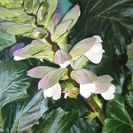 null | Photo taken by Wayne P