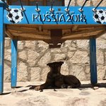 Photo taken by alton r