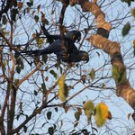 Photo taken by Kelvin V