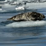 Photo taken by joyce h