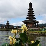 Photo taken by Alexandra G