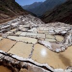 Photo taken by Dion F