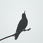 Photo taken by Marcia G