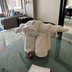 Photo taken by Fuad A