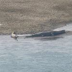 Photo taken by Cayden S