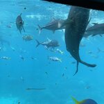 Photo taken by Susan C