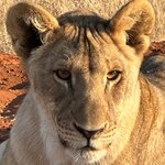 Photo taken by Sandro P