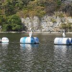 Photo taken by Wouter K