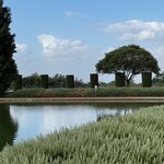 Photo taken by Martha D