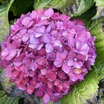 Photo taken by Tom K