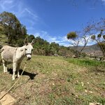 Photo taken by Martin S