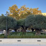 Photo taken by Deborah B