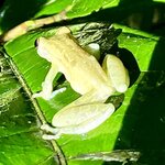 Photo taken by Ben B