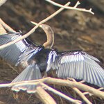 Photo taken by Bonnie Y