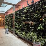 Photo taken by Ingenie D