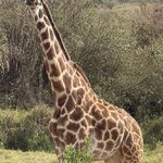 Photo taken by Gabrielle A