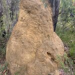 Photo taken by Julie H