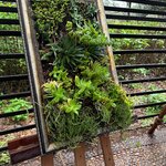 Photo taken by Tom B