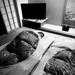 Photo taken by Mallory A