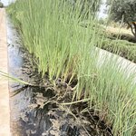 Photo taken by Patricia O