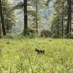 Photo taken by Jaybelyn C