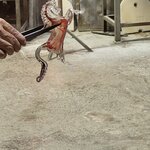 Photo taken by Karla C